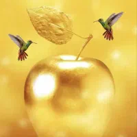 وام ملل و صندوق ۱۵۰ ملیون|خدمات مالی، حسابداری، بیمه|کاشمر, |دیوار