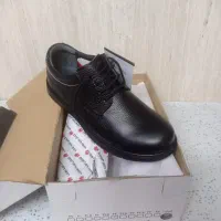 کفش مردانه|کیف، کفش، کمربند|قم, چهار مردان|دیوار