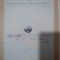 سند اجاره ای به ارزش ۲ تا ۴ ملیارد فقط زندانی