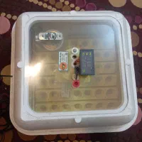 دستگاه جوجه کشی ۴۲|لوازم جانبی حیوانات|تهران, قصر فیروزه ۱|دیوار