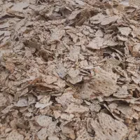 جمع آوری نان خشک