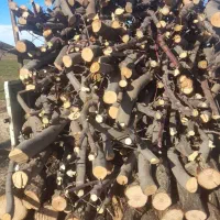 خرید چوب و ضایعات