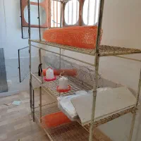 جوجه مرغ و دستگاه جوجه کشی زیر قیمت و قفس|حیوانات مزرعه|کوهبنان, |دیوار