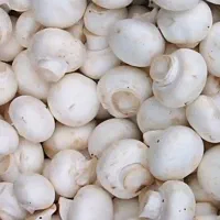 قارچ درجه ۲ کیلو ۹۵