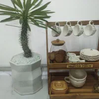 صنایع چوب دارچین|صنایع دستی و سایر لوازم تزئینی|گرگان, |دیوار