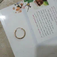 لنگه گوشواره ای گم شده طلا|جواهرات|کاشان, باغ فین|دیوار