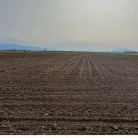 فروش زمین واسه گلخانه