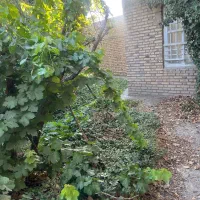 باغ اول شاهنامه(معاوضه با اپارتمان یا فروش)|فروش زمین و ملک کلنگی|مشهد, سازمان آب|دیوار