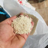 برنج هاشمی معطر گیلان ۲۲۰
