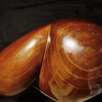 تار حرفه ای رشیدی ملایری