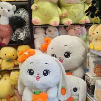 عروسک و کادویی|اسباببازی|شاهینشهر, عطار|دیوار