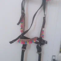 کلگی دست جلو اسب|اسب و تجهیزات اسبسواری|اردکان, |دیوار