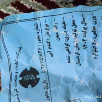 بذر گندم آبی