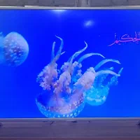 تلویزیون جی پلاس ۴۰ اینچ|تلویزیون و پروژکتور|اصفهان, باغ زیار|دیوار