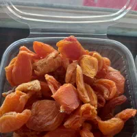 خشکبار ممتاز (قره داغ)