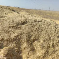 کاه|حیوانات مزرعه|اندیمشک, |دیوار