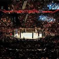 باشگاه آموزش تخصصی MMA ( هنرهای رزمی ترکیبی)