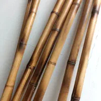 نی بامبو