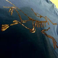 پیراهن آرکتریکس اورجینال