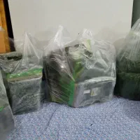 سبزیجات قرمه کوکو اش تمیزاورگانیک عطری متفاوت طعمی