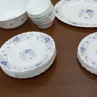 ارکوپال گل ابی جنس اصلی