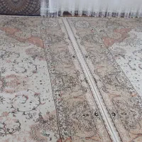 فرش|فرش|تولم شهر, |دیوار