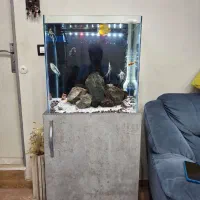 اکواریم با میز