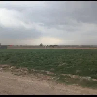 فروش یا معاوضه زمین