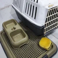 باکس و ظرف سگ