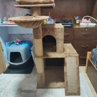 اسکرچر گربه ( درخت گربه )