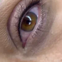 فیبروز،خط چشم،تتو بدن ۶۰۰|خدمات آرایشگری و زیبایی|قم, بنیاد|دیوار