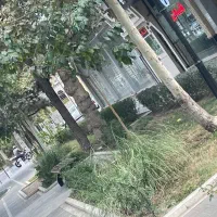 رهن کامل یک باب مغازه تجاری دائم|اجارهٔ مغازه و غرفه|مشهد, رضاشهر|دیوار
