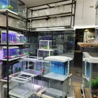 آکواریوم رفیعیان|ماهی|بروجن, |دیوار