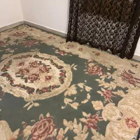 فرش ۱۲ متری کاملا سالم تراکم بالا