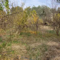 فروش خونه باغ|فروش خانه و ویلا|طارم, |دیوار