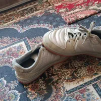 کفش ورزشی|تجهیزات ورزشی|هشترود, |دیوار