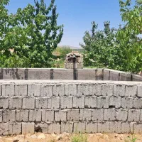 باغ استخر دار با انواع درخت
