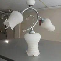 لوسترسه شاخه