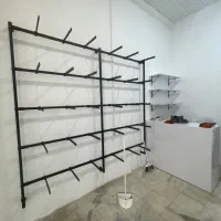 فروش رگال|حراج|بندر انزلی, سپه|دیوار