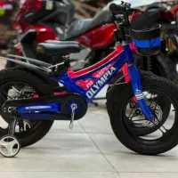 دوچرخه حرفه ای ۱۶ دیسکی(دوچرخ جهان قم)