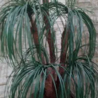 گلدان و  آناناس سه شاخه  و اسباب بازی