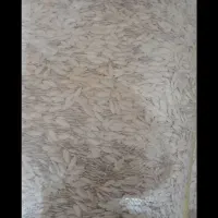 کدو زبون ماری