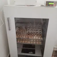 فروش دستگاه جوجه کشی