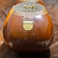 تار کارگاهی فرهنگیان با کیفیت و قیمت مناسب|سازهای سنتی|تهران, تهرانسر غربی|دیوار