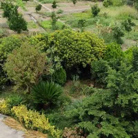 اجاره سوییت دوخواب ویودار روستایی