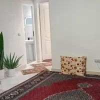خونه دارم دنبال همخونه میگردم