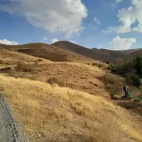 راننده.ب صورت ثابت برای سرویس.