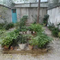 اجاره خانه جهت انبار|اجارهٔ خانه و ویلا|تهران, نصرت|دیوار