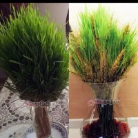 یه دسته بزرگ گندم خشک|گل مصنوعی|اندیمشک, |دیوار