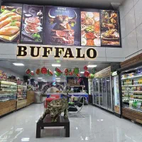 نیروی مرغ کار